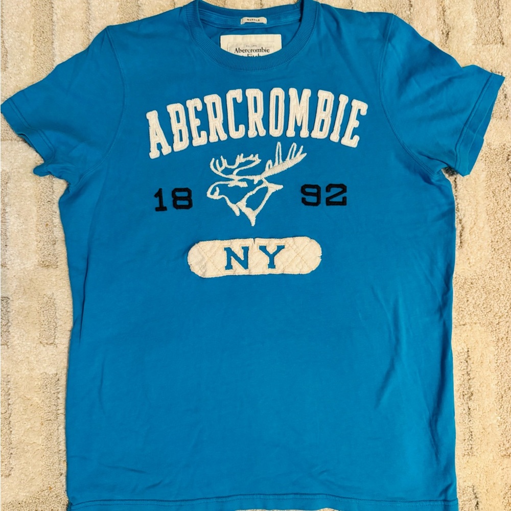 Abercrombie & Fitch Teal Muscle Tee